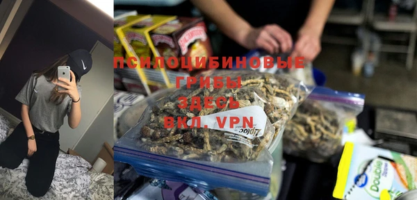спиды Всеволожск