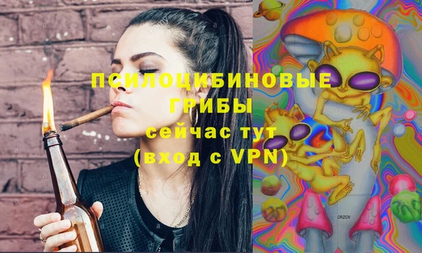 стафф Вуктыл