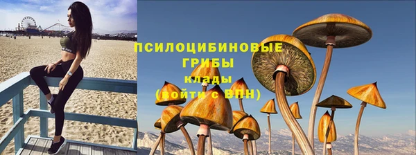 спиды Всеволожск
