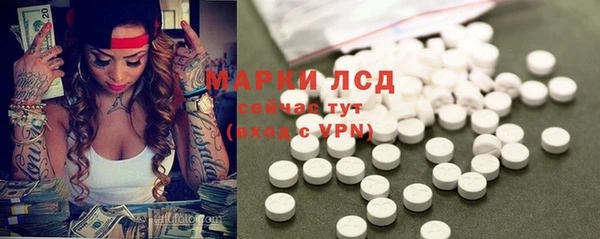 стафф Вуктыл